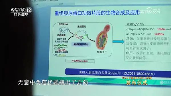 類(lèi)人膠原蛋白項(xiàng)目