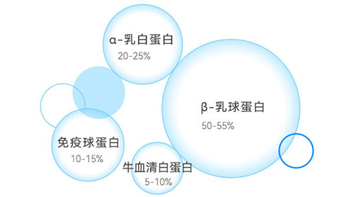 乳清蛋白成分示意圖 乳清蛋白成分示意圖