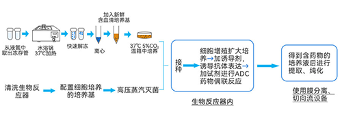 綜合反應(yīng)流程