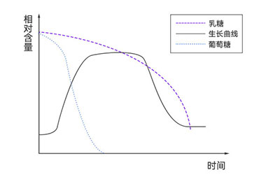 大腸桿菌在不同培養(yǎng)基中的生長(zhǎng)