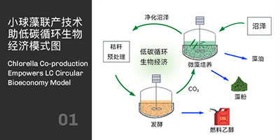 小球藻聯(lián)產(chǎn)技術(shù)助力碳循環(huán)經(jīng)濟(jì)模式圖